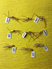 UMPQUA SALTWATER FLIES 💥 Mantis Shrimp Veberka And Tan & Blue 💥 Lot Of 9 💥