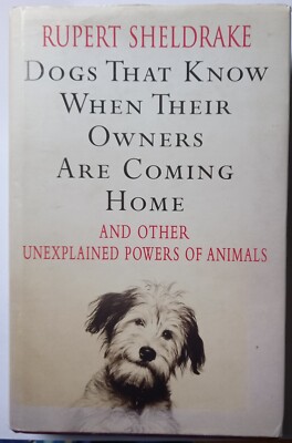Dogs That Know When Their  Owners. 