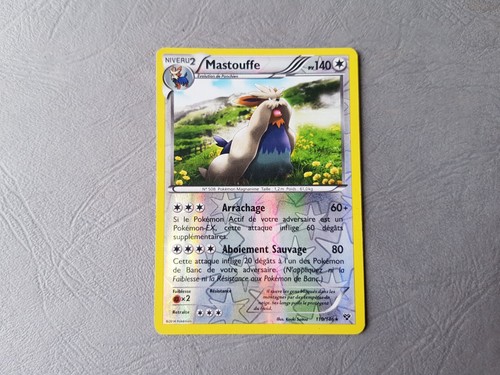 Pokémon Cards - XY - XY .../146 - French (Unit) - Picture 238 of 275