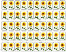 50 Sunflower Envelope Seals / Labels / Stickers, 1" by 1.5"