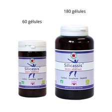 Silicassis Silicium organique en gélules Vecteur energy BIO