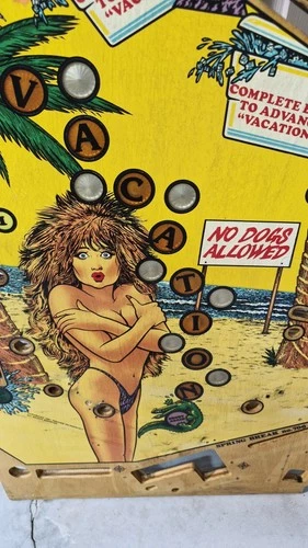 Gottlieb SPRING BREAK PINBALL MACHINE PLAYFIELD - USED