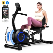 Pooboo Recumbent Exercise Bike Stationary Magnetic Cycling Indoor 380lbs Max