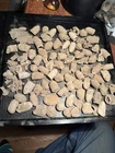 Big Lot Dug Civil War Bullets Relics Wilderness US Confederate