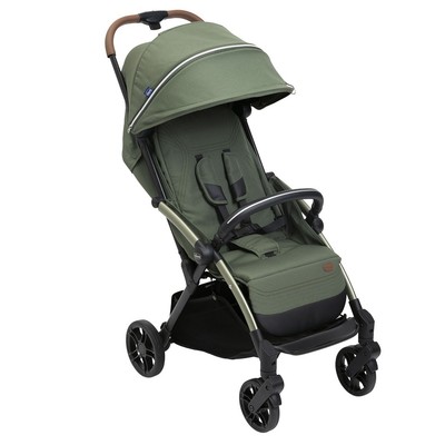 Chicco Kinderwagen Buggy Goody Xplus Twinkle Green NEU
