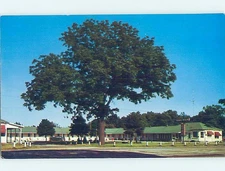 Pre-1980 MOTEL SCENE Niles Michigan MI : make an offer G7434