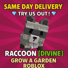 Raccoon Pet  Grow a Garden Roblox  Fast Delivery    Best Price   