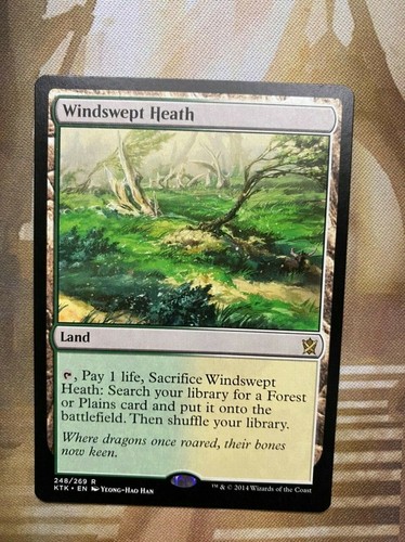 MTG Windswept Heath Khans of Tarkir 248/269 Regular Rare X1-2 Copies Near Mint - Picture 2 of 6