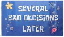 3x5 Several Bad Decisions Later Blue 100D Woven Poly Nylon 3'x5' Flag Banner