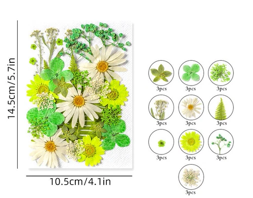 Dried Pressed Flowers Natural Epoxy Resin Candle Nail Art Scrapbooking Craft AU - Picture 31 of 210