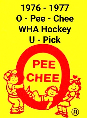 Dave Dryden #85 1976 O-Pee-Chee WHA card