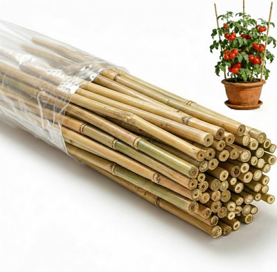 55 Pcs Bamboo Plant Stakes 6 Feet,  Natural Bamboo Sticks Garden Stakes for Clim