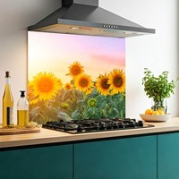 Printed Glass Kitchen Splashback | 6mm Toughened Heat Resistant Glass | No.2196