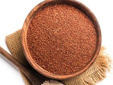 Ragi - Eleusine coracana - Finger Millet Whole 50gm /1.76