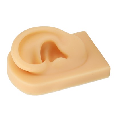 Ear Model Soft Flexible Ear Simulation Pierce Praxis Schmuck Display gefälschte