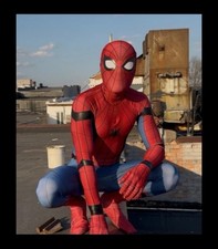 Spider-Man Adult Men  s Cosplay Costume / Made By Zentai Zone