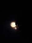 Goofy Pocket Light Keychain Light Still Works — photo 8