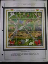 O) 1990 GHANA, AFRICAN TROPICAL RAIN, ANIMALS -HABITAT, FLYCATCHER- BOOMSLANG - 