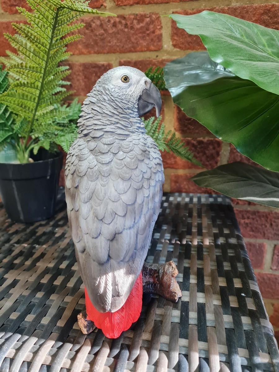 Vivid Arts AFRICAN GREY PARROT. Superb Home or Garden Ornament