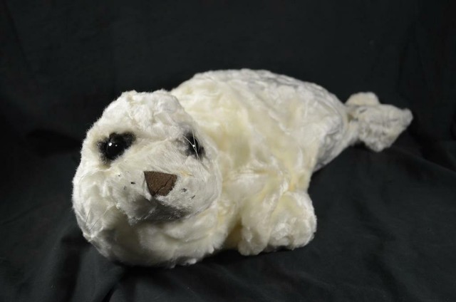 seal teddy