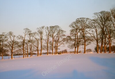 Foto 6x4 Sonnenaufgang an der Feldgrenze Barnard Castle Obwohl die Hecke um 2010