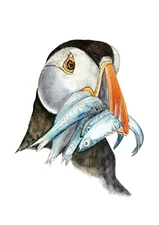 Puffin Portrait Hand Embellished PRINT from an Original Watercolour Painting