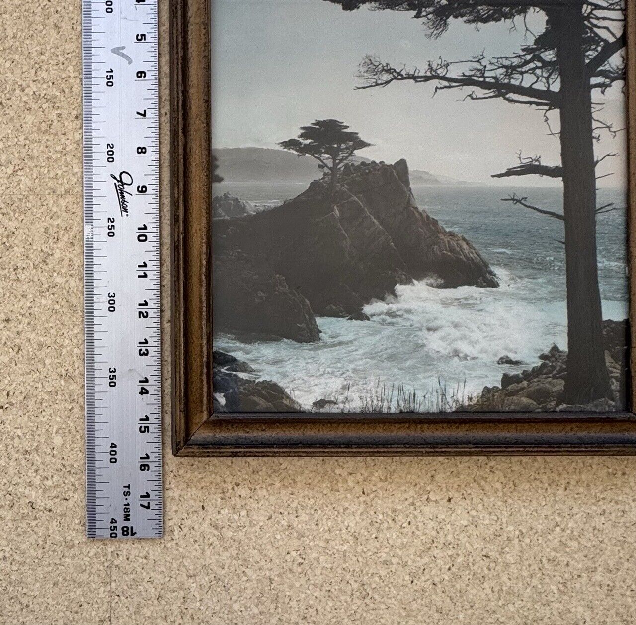 Picture 6 of 12
