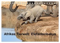 Afrikas Tierwelt: Elefantenbabys (Tischkalender 2027 DIN A5 Quer), Calvendo Mona