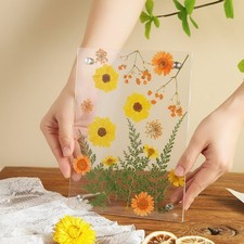 Acryl-Blumenrahmen DIY gepresster Blumen-Displayrahmen leichte Handhabung
