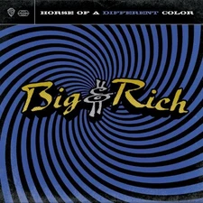 Horse of a Different Color [CD] BIG & RICH [*READ*, VERY GOOD]