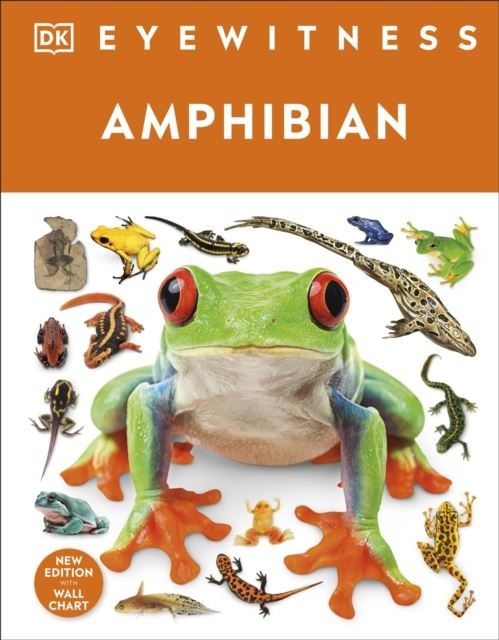 Eyewitness Amphibian by DK Hardback