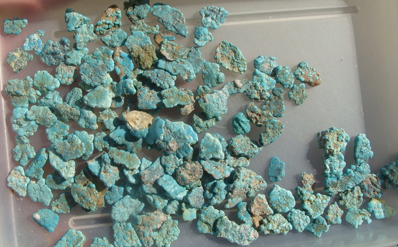 Darling Darlene Spiderweb Turquoise Un Drilled Nuggets Beads NEV 389 KTS 