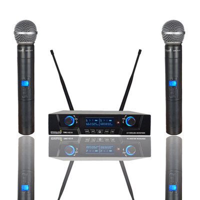  UHF Wireless Microphone System Pro Audio 2 Channel Handheld Metal Dynamic Mic