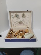 Wooden Doll Tea Set Missing Parts Le Menage En Bois Ne Fait Nas Malaux Doigts