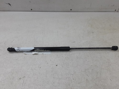 Gasveer 600N voor EDSCHA / SESAM dak