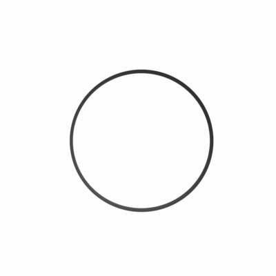 Ikelite O-Ring #0132.36 for DLM Port System, DS161, DS160, DS125 Battery Pack