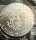 silver 2015 American eagle unc dollar