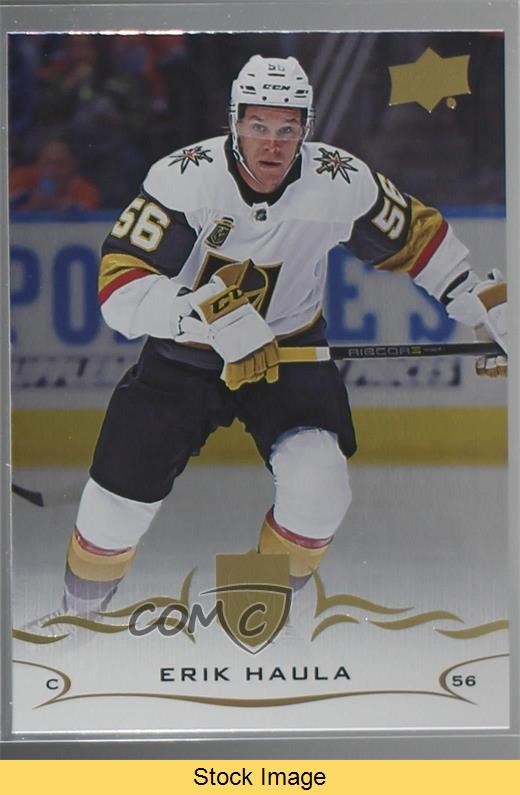 2018-19 Upper Deck Silver Foil Erik Haula #183 READ kr0