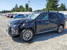 PALISADE 2022 Antenna 9799029