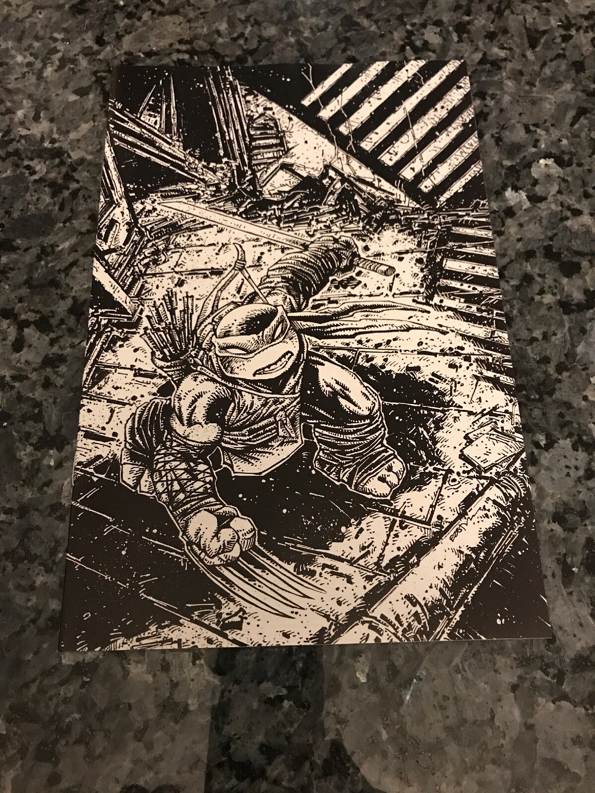 TEENAGE MUTANT NINJA TURTLES #97 2019 NEW YORK COMIC CON EXCLUSIVE!
