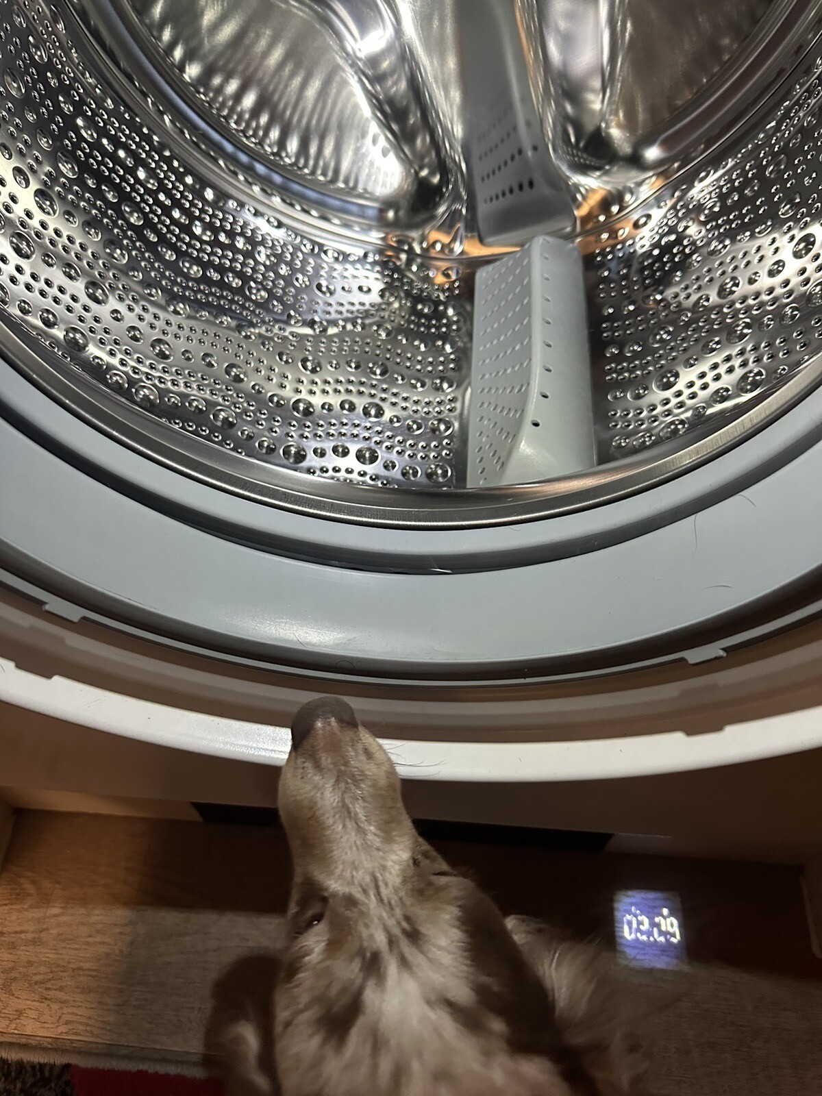 Bosch WIW28501GB Serie 8 8Kg 1400 Spin Fully Integrated Washing Machine eBay