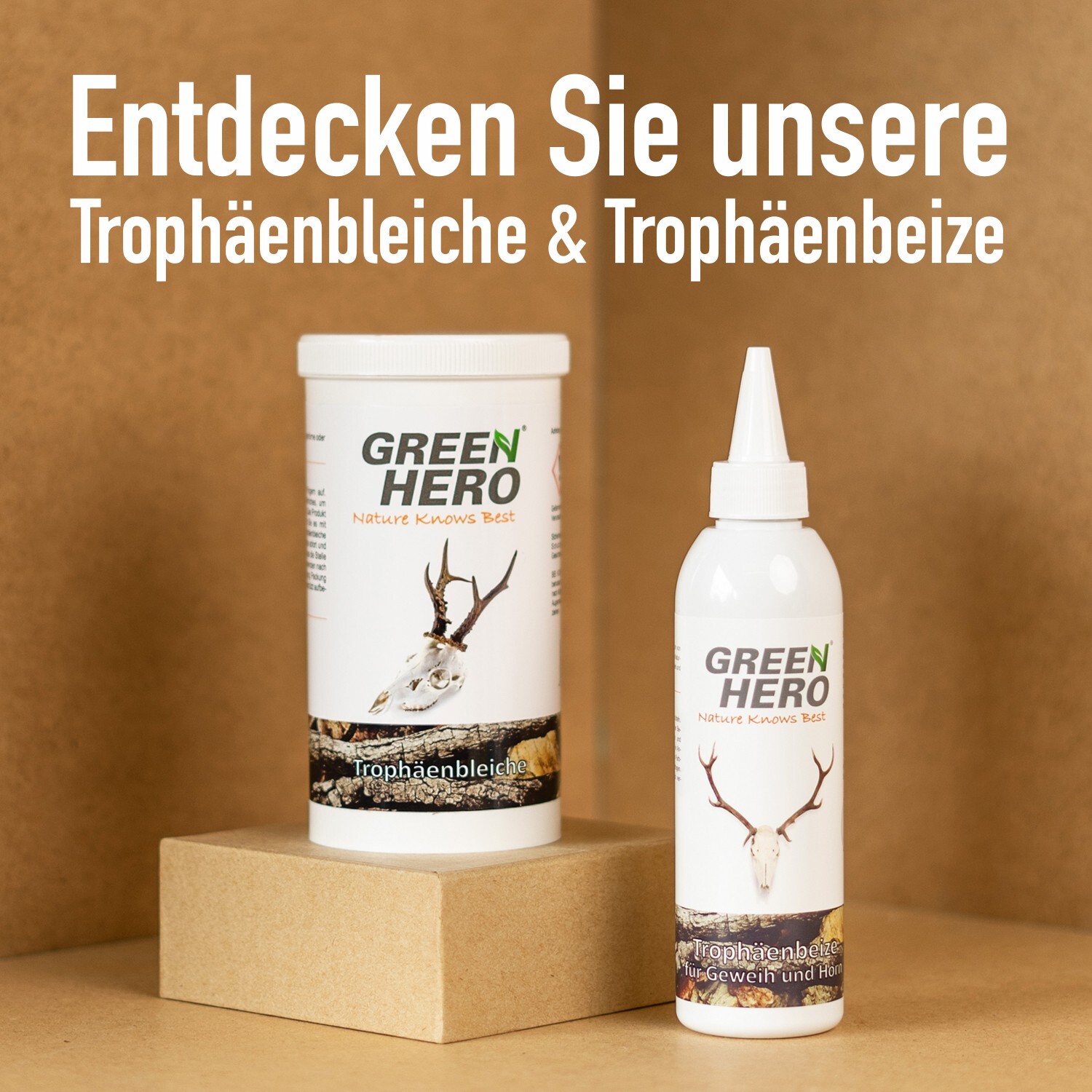 Bild 6 von 6