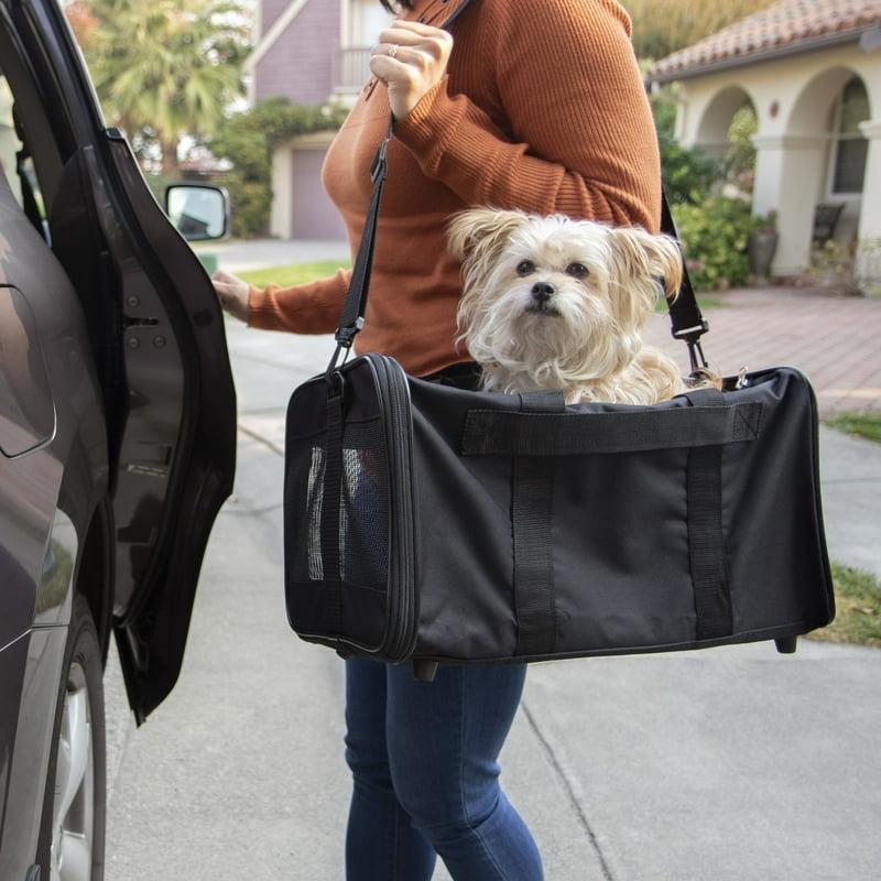 pet transfer da nang