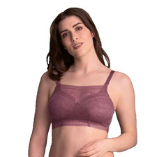 Anita Fleur Lace Modesty Panel Berry C - D Cups High Chest Coverage Mastectomy