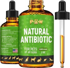 Dog Antibiotics Infection Coughs UTIs Allergies Itching Natural Antibiotics Cats