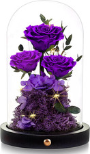 Valentines Day Flowers Roses Gifts for Her,Forever Real Preserved Roses in Glass