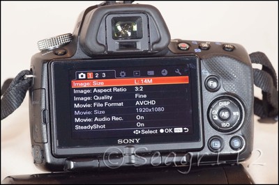 SONY α33 Sony Alpha 33 - Wikipedia