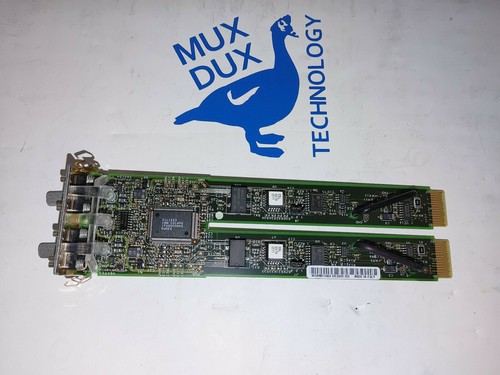 IBM P09L5580 RAID Bypass Module 09L5580 - Picture 1 of 4