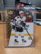 2023-24 Upper Deck Series 2 Connor Bedard Gold Die Cut RC #RDT-19