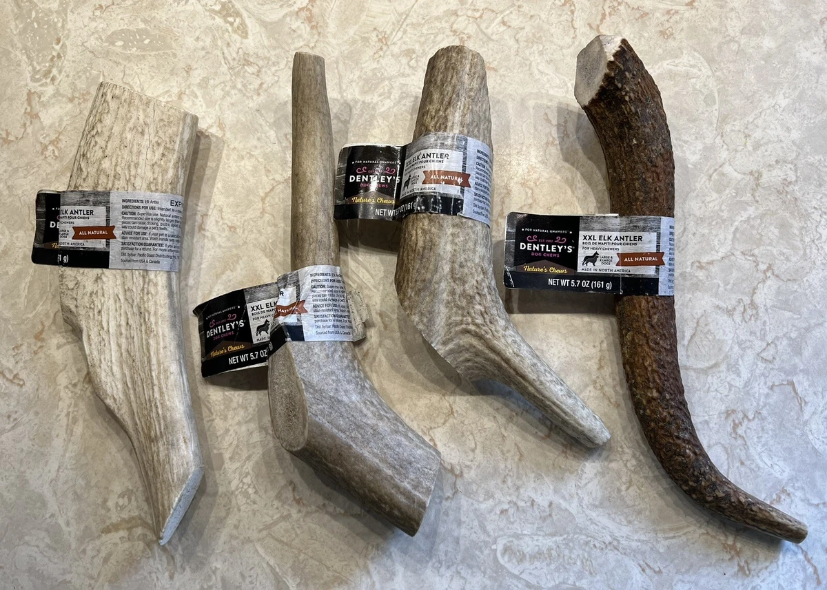 Dentley s Nature s Chews XXL Elk Antler Lot of 4 for Large Dogs 5.7oz each NWT eBay